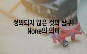 정의되지 않은 것의 탐구| None의 의미