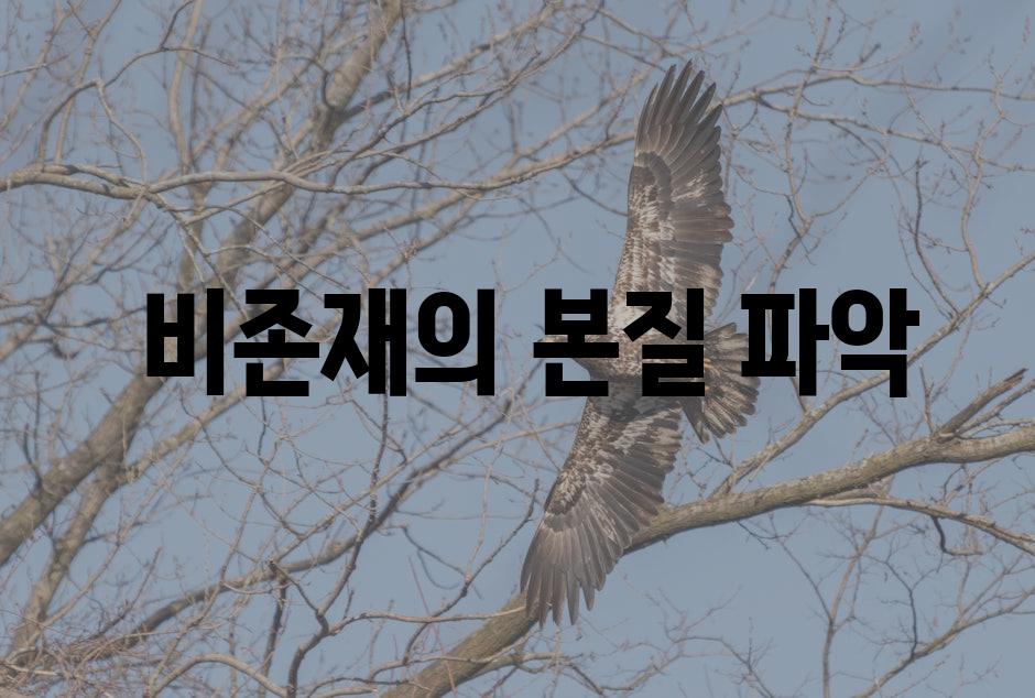  비존재의 본질 파악