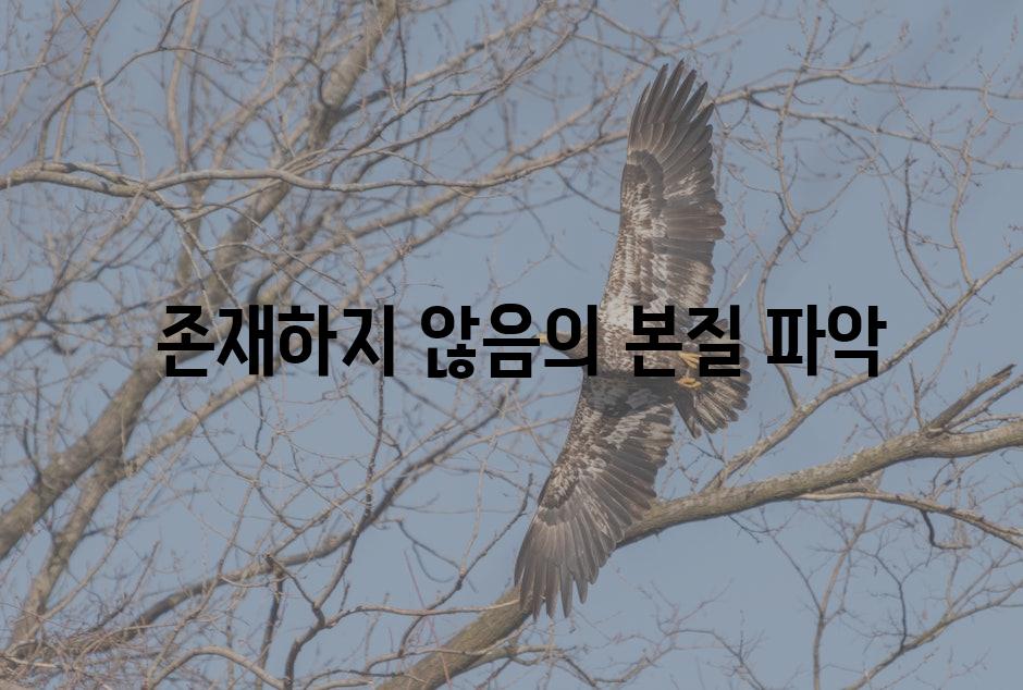  존재하지 않음의 본질 파악