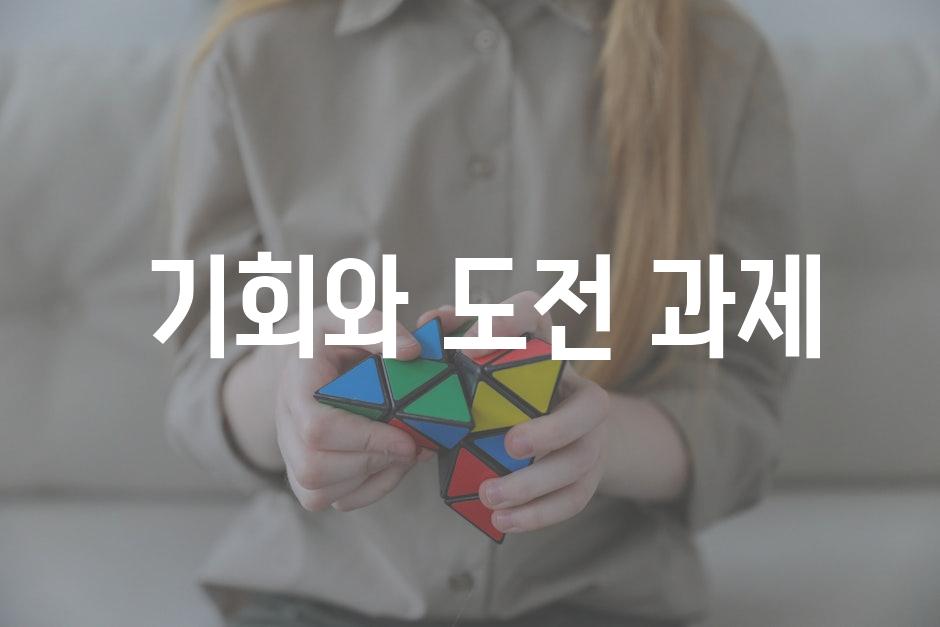  기회와 도전 과제