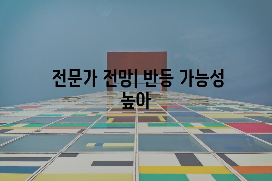  전문가 전망| 반등 가능성 높아