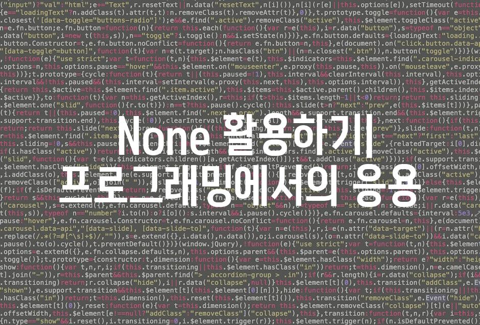  None 활용하기| 프로그래밍에서의 응용