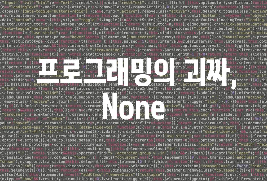  프로그래밍의 괴짜, None