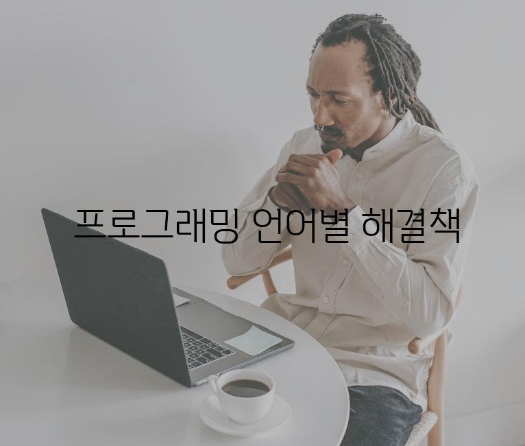  프로그래밍 언어별 해결책