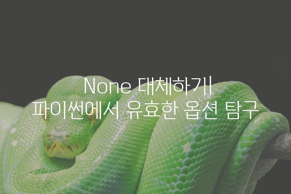 None 대체하기| 파이썬에서 유효한 옵션 탐구