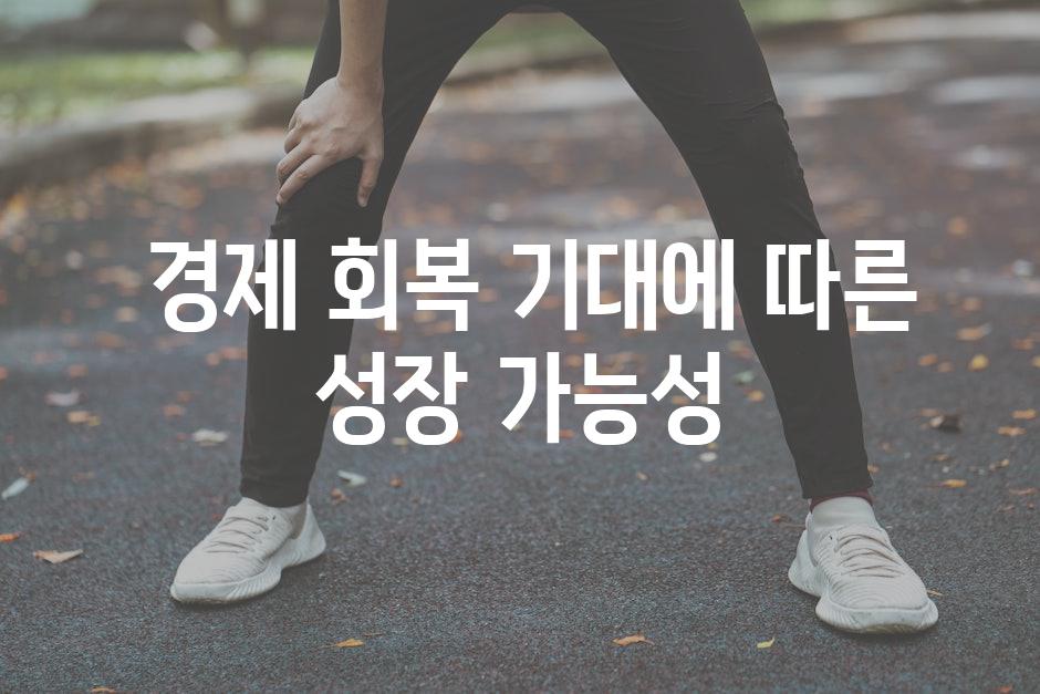  경제 회복 기대에 따른 성장 가능성