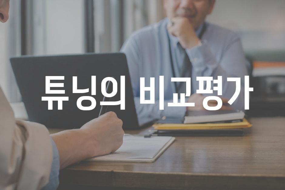 튜닝의 비교평가