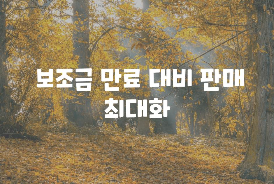  보조금 만료 대비 판매 최대화