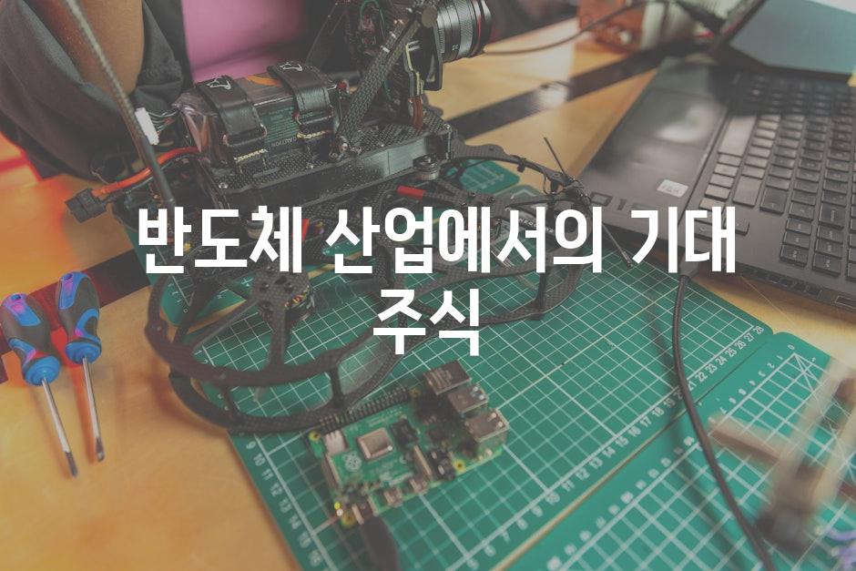  반도체 산업에서의 기대 주식