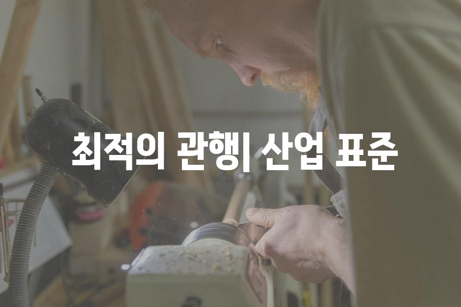  최적의 관행| 산업 표준