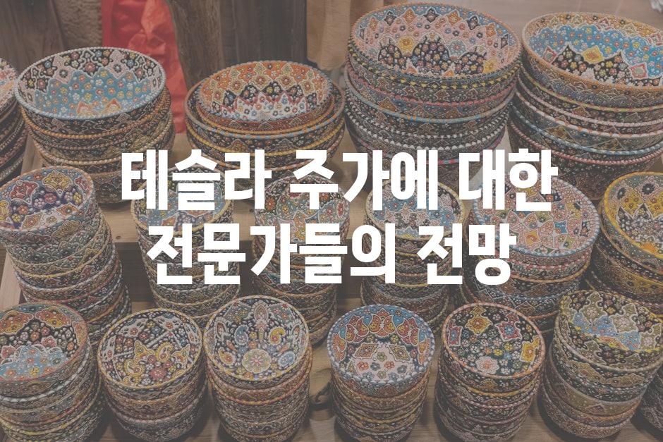  테슬라 주가에 대한 전문가들의 전망