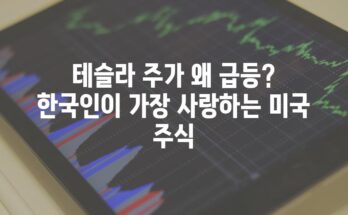 테슬라 주가 왜 급등? 한국인이 가장 사랑하는 미국 주식