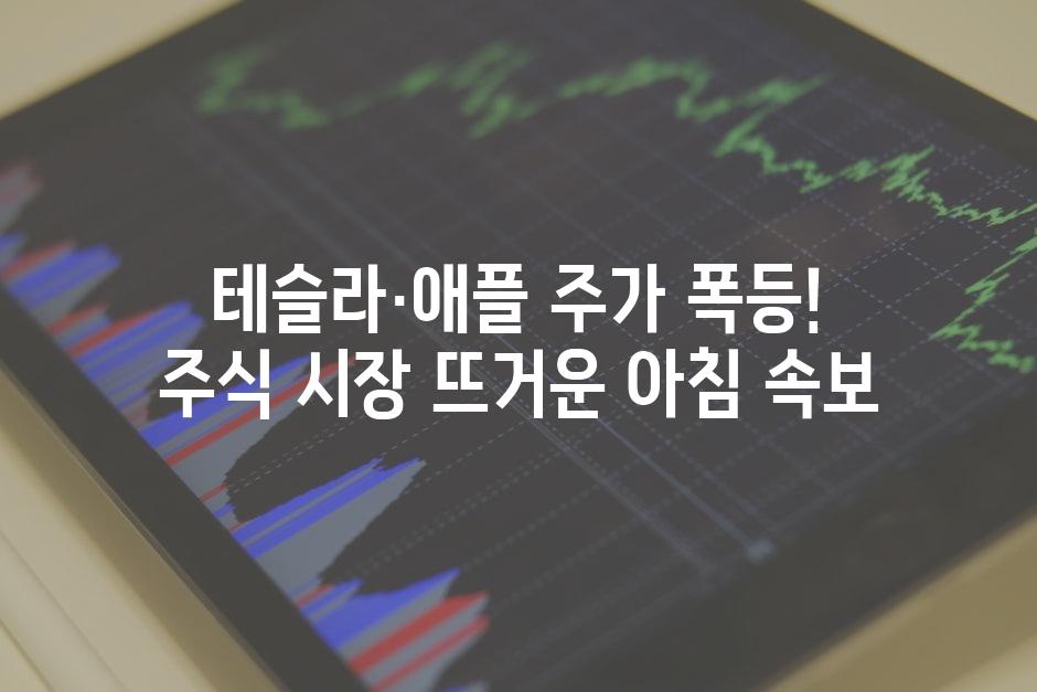 이미지_설명