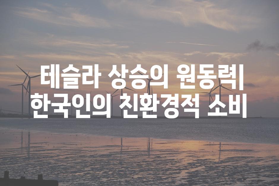  테슬라 상승의 원동력| 한국인의 친환경적 소비