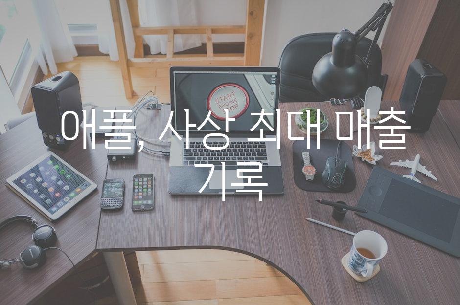  애플, 사상 최대 매출 기록