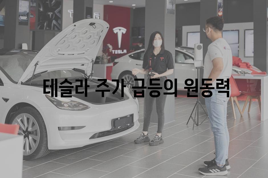  테슬라 주가 급등의 원동력