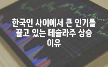 한국인 사이에서 큰 인기를 끌고 있는 테슬라주 상승 이유