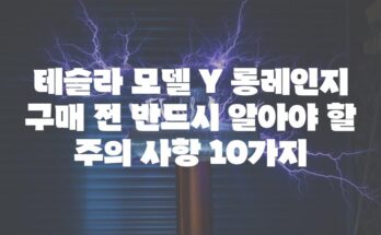 테슬라 모델 Y 롱레인지 구매 전 반드시 알아야 할 주의 사항 10가지