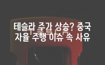 테슬라 주가 상승? 중국 자율 주행 이슈 속 사유