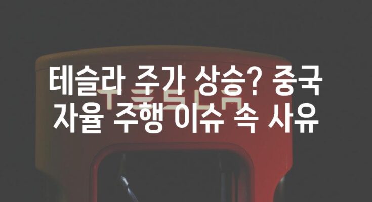 테슬라 주가 상승? 중국 자율 주행 이슈 속 사유