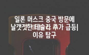 일론 머스크 중국 방문에 날갯짓한 테슬라 주가 급등| 이유 탐구