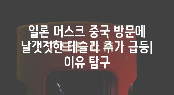 일론 머스크 중국 방문에 날갯짓한 테슬라 주가 급등| 이유 탐구