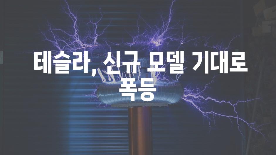  테슬라, 신규 모델 기대로 폭등