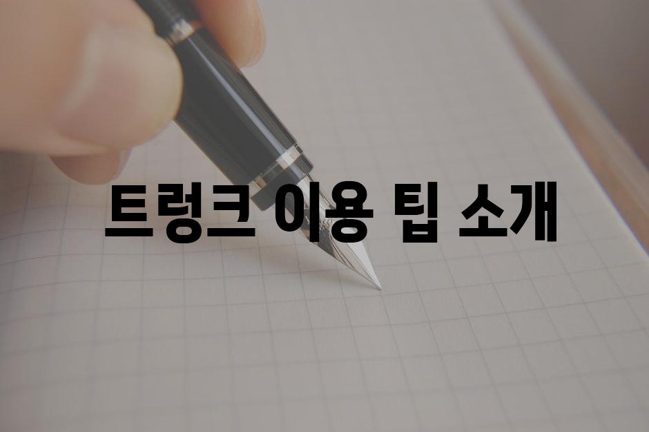 트렁크 이용 팁 소개