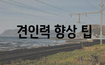 테슬라 하이랜드의 믿을 수 있는 견인력으로 무거운 트레일러를 정복하세요