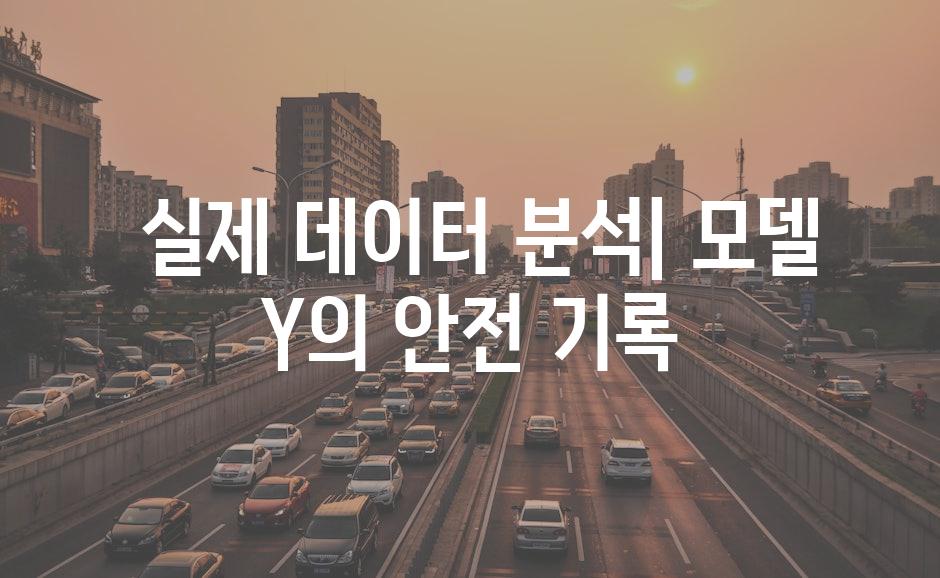  실제 데이터 분석| 모델 Y의 안전 기록