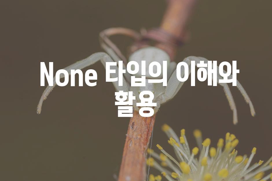  None 타입의 이해와 활용