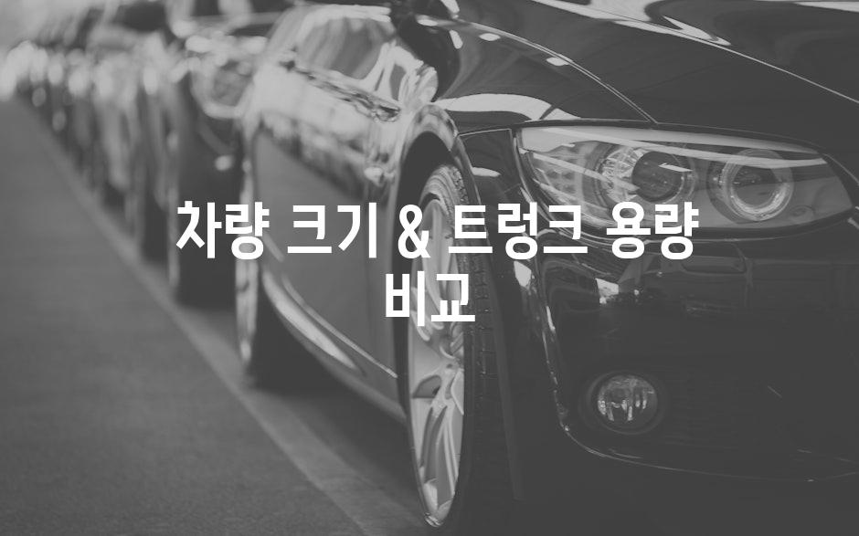  차량 크기 & 트렁크 용량 비교