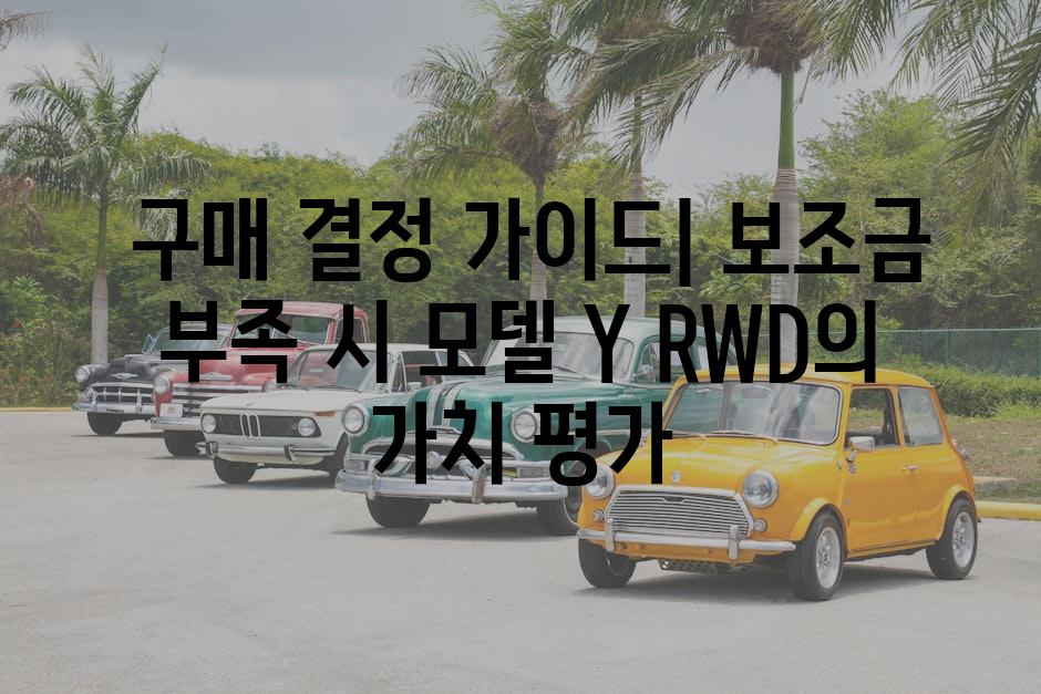  구매 결정 가이드| 보조금 부족 시 모델 Y RWD의 가치 평가