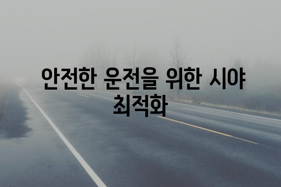  안전한 운전을 위한 시야 최적화