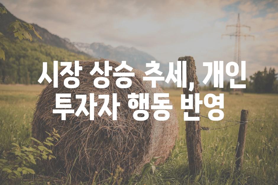  시장 상승 추세, 개인 투자자 행동 반영