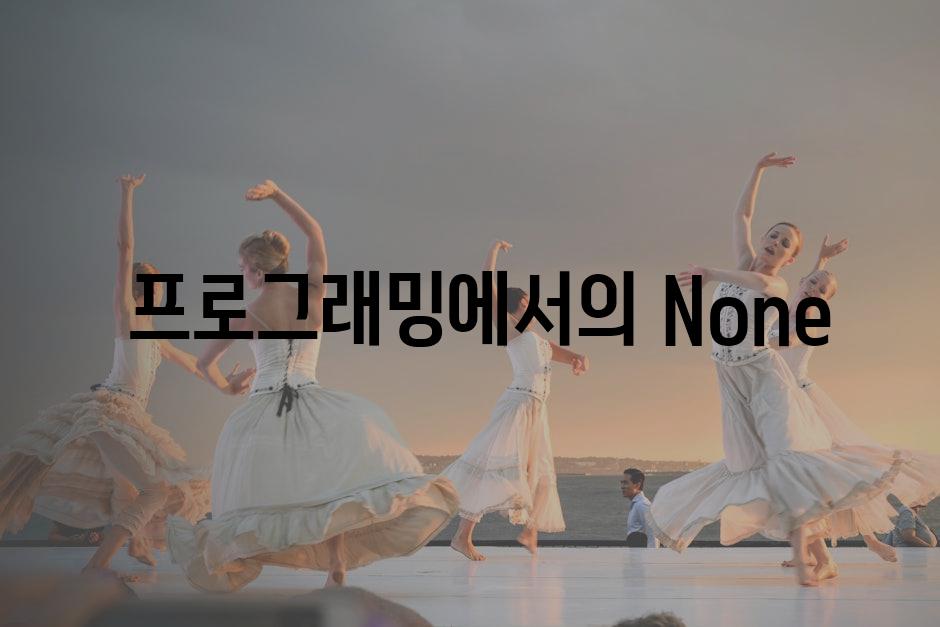  프로그래밍에서의 None