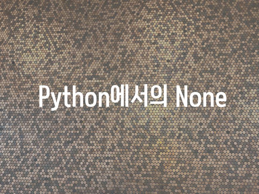  Python에서의 None