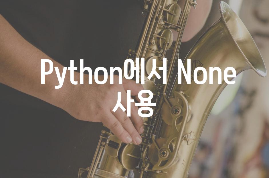  Python에서 None 사용