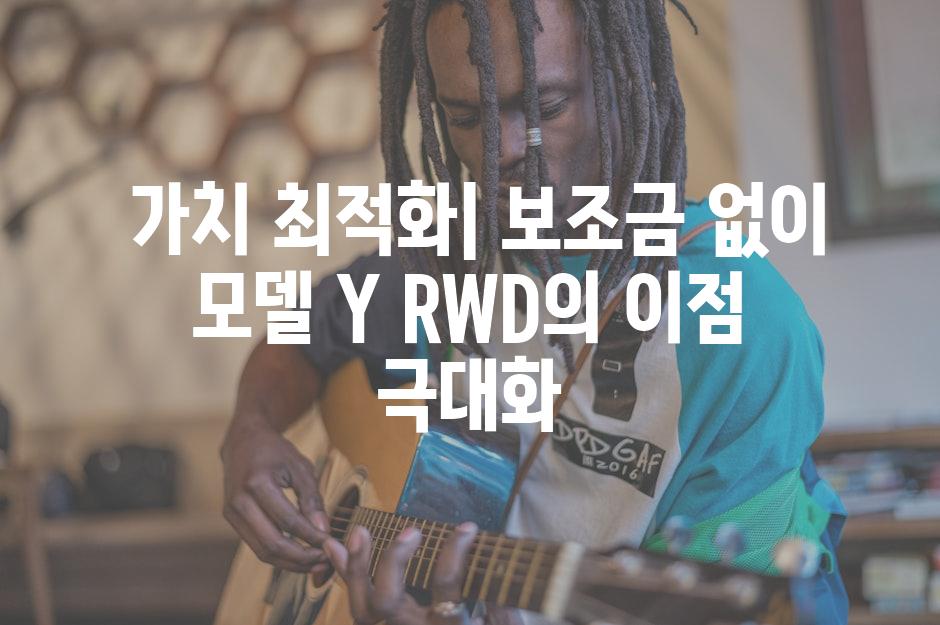  가치 최적화| 보조금 없이 모델 Y RWD의 이점 극대화