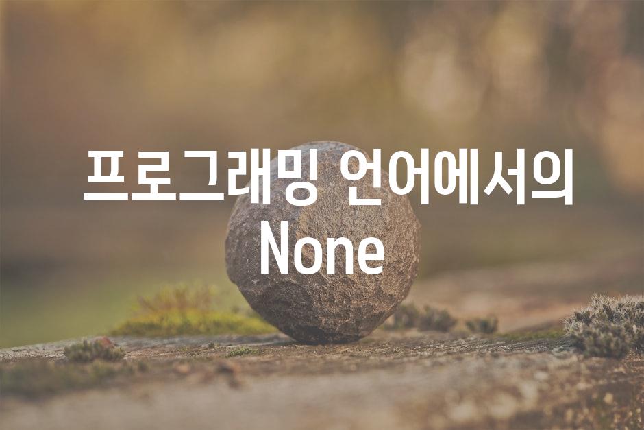  프로그래밍 언어에서의 None