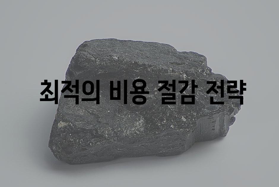  최적의 비용 절감 전략