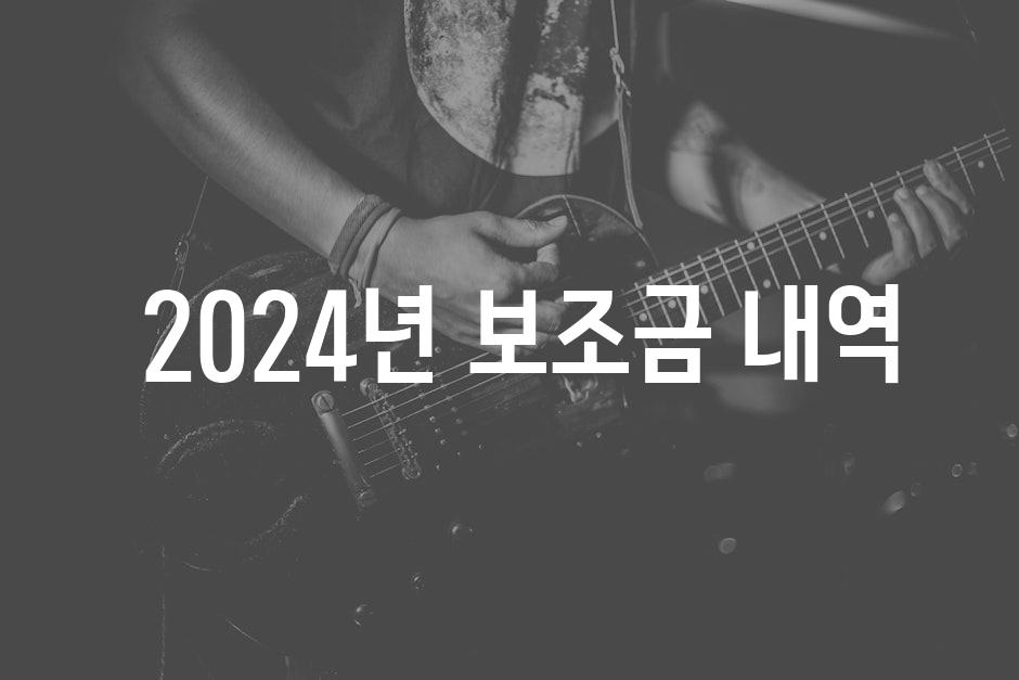  2024년 보조금 내역