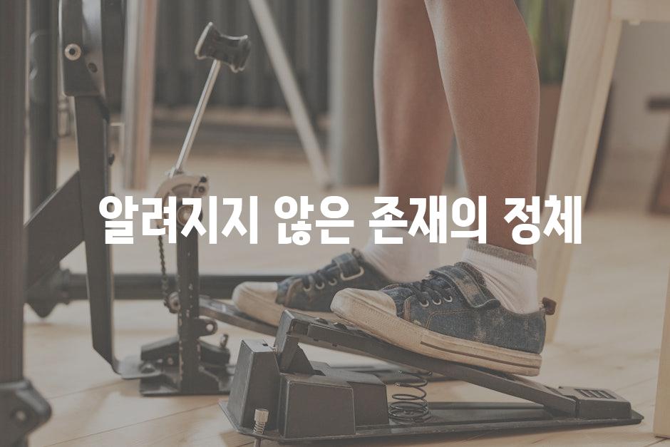  알려지지 않은 존재의 정체