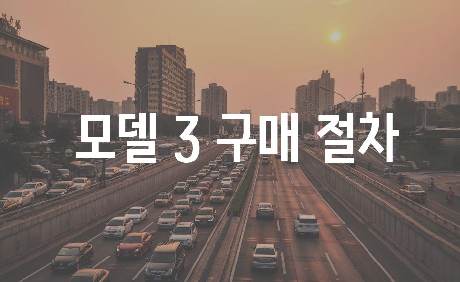  모델 3 구매 절차