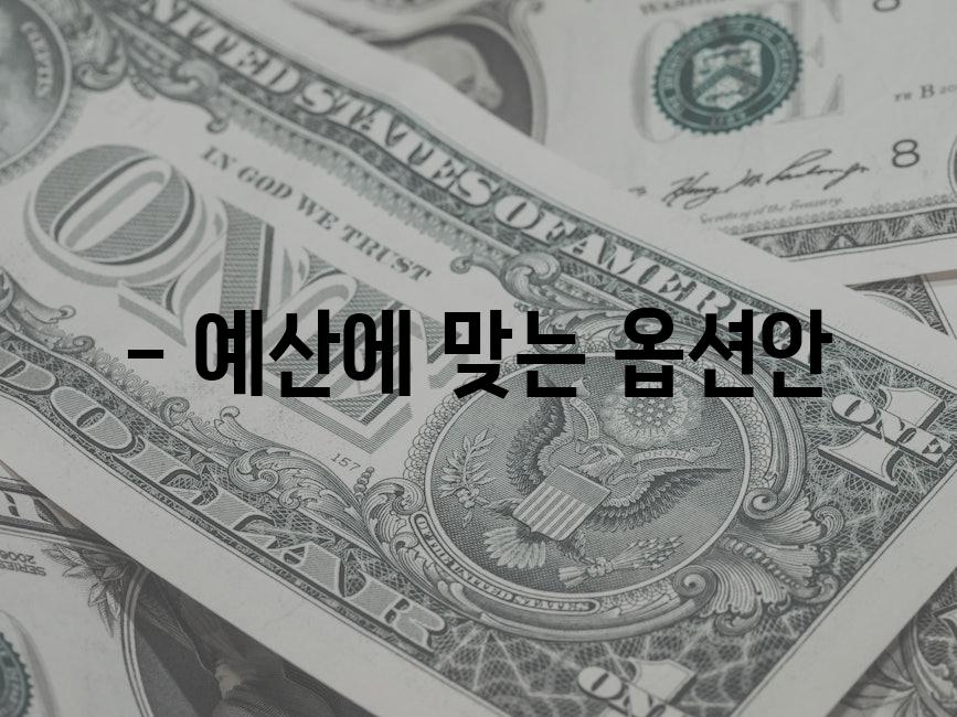 - 예산에 맞는 옵션안