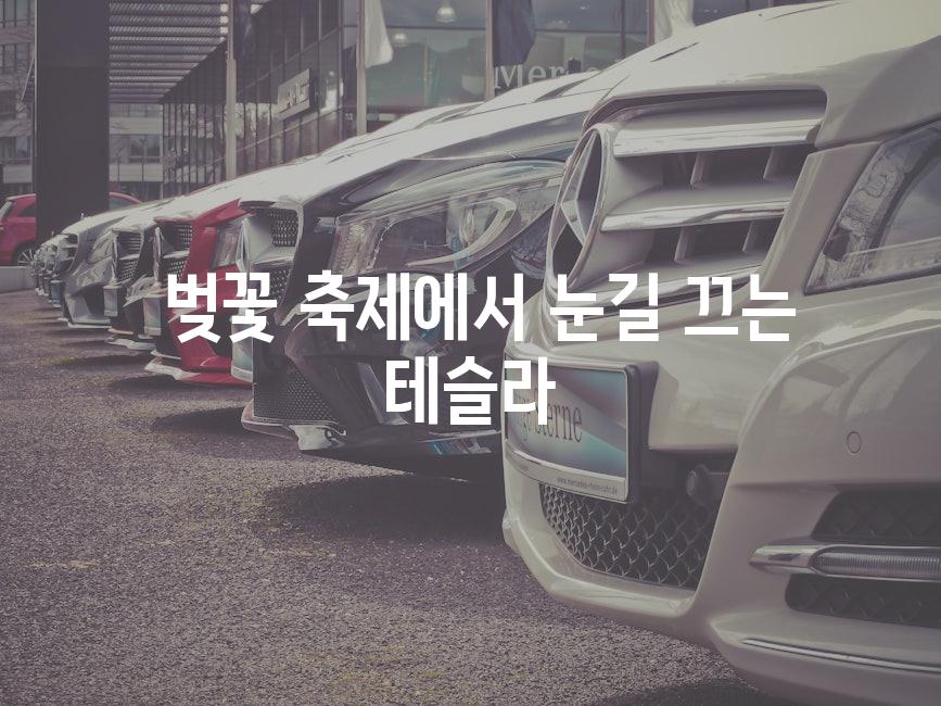  벚꽃 축제에서 눈길 끄는 테슬라