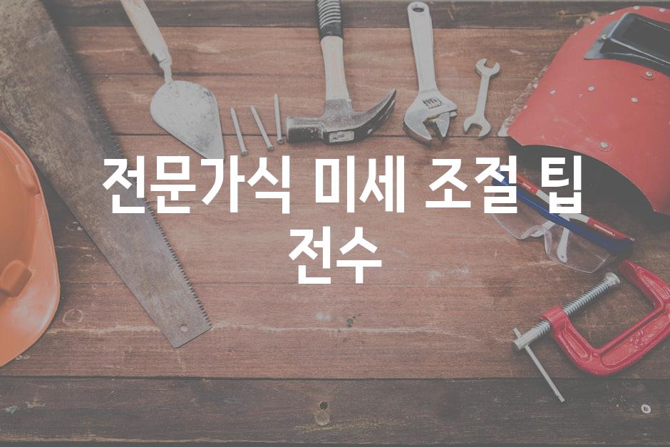  전문가식 미세 조절 팁 전수