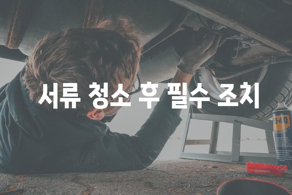  서류 청소 후 필수 조치