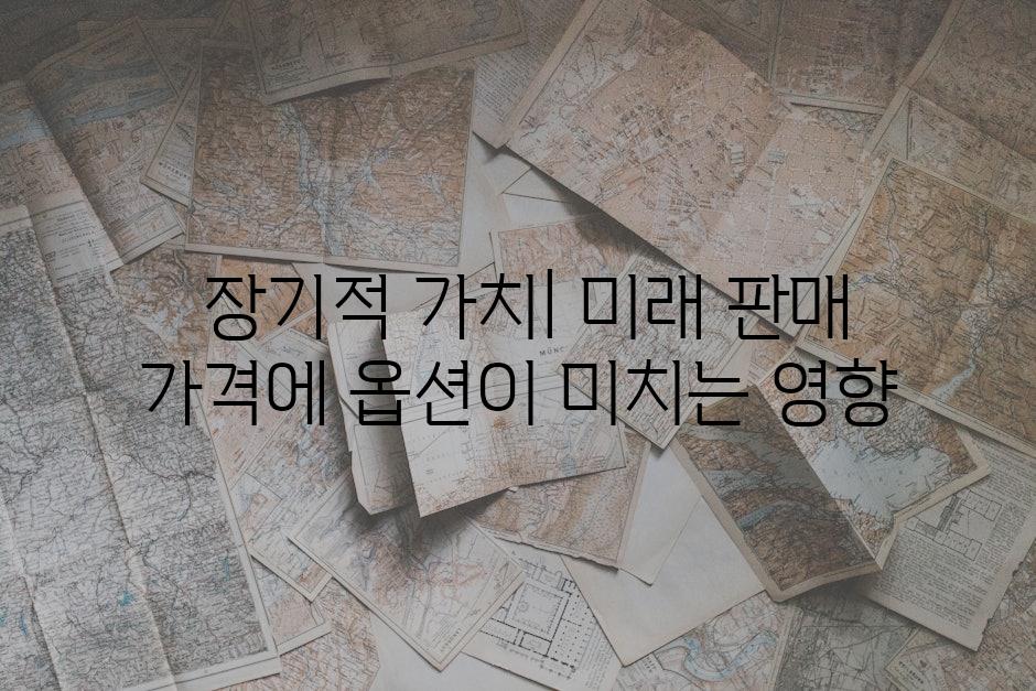  장기적 가치| 미래 판매 가격에 옵션이 미치는 영향