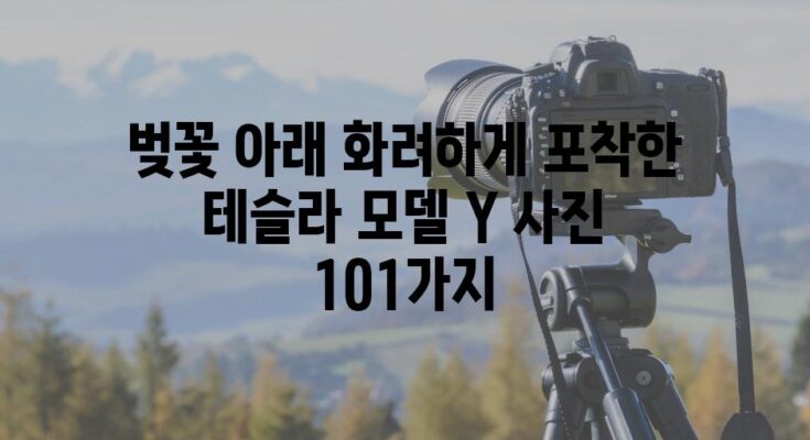 벚꽃 아래 화려하게 포착한 테슬라 모델 Y 사진 101가지